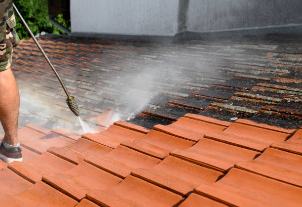 Local Pressure Washing Services in Port Barrington, IL