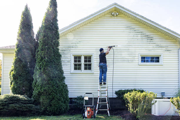 Best Deck Cleaning Services  in Port Barrington, IL