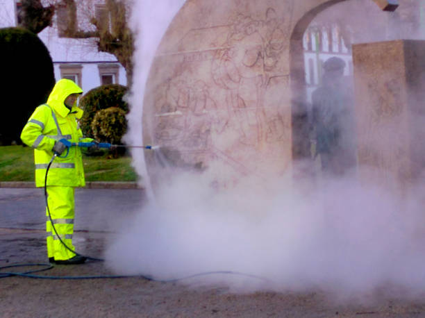 Best Roof Power Washing Services  in Port Barrington, IL